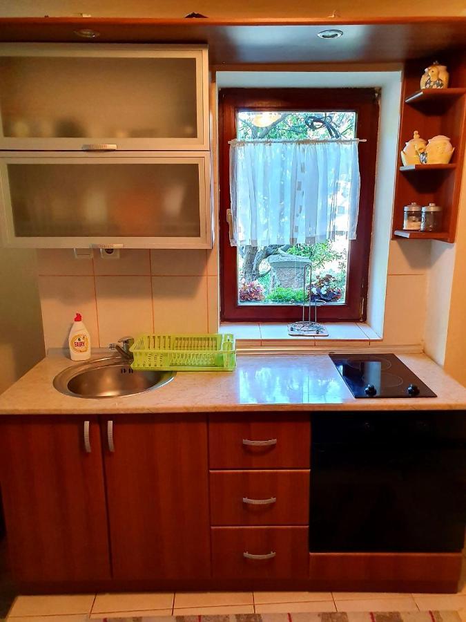 Apartman Sergej 2 소코 반자 외부 사진